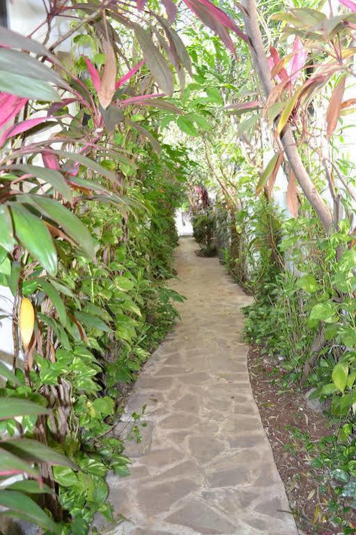 Hotel Aventura Mérida Dış mekan fotoğraf